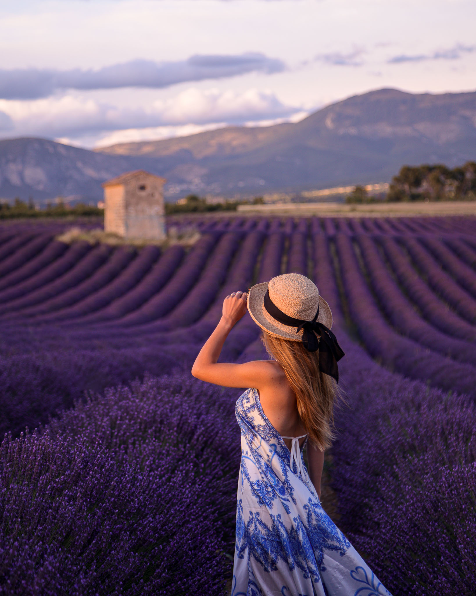 Anita Tissier Photography Lavender Fields in Valensole, Provence, France