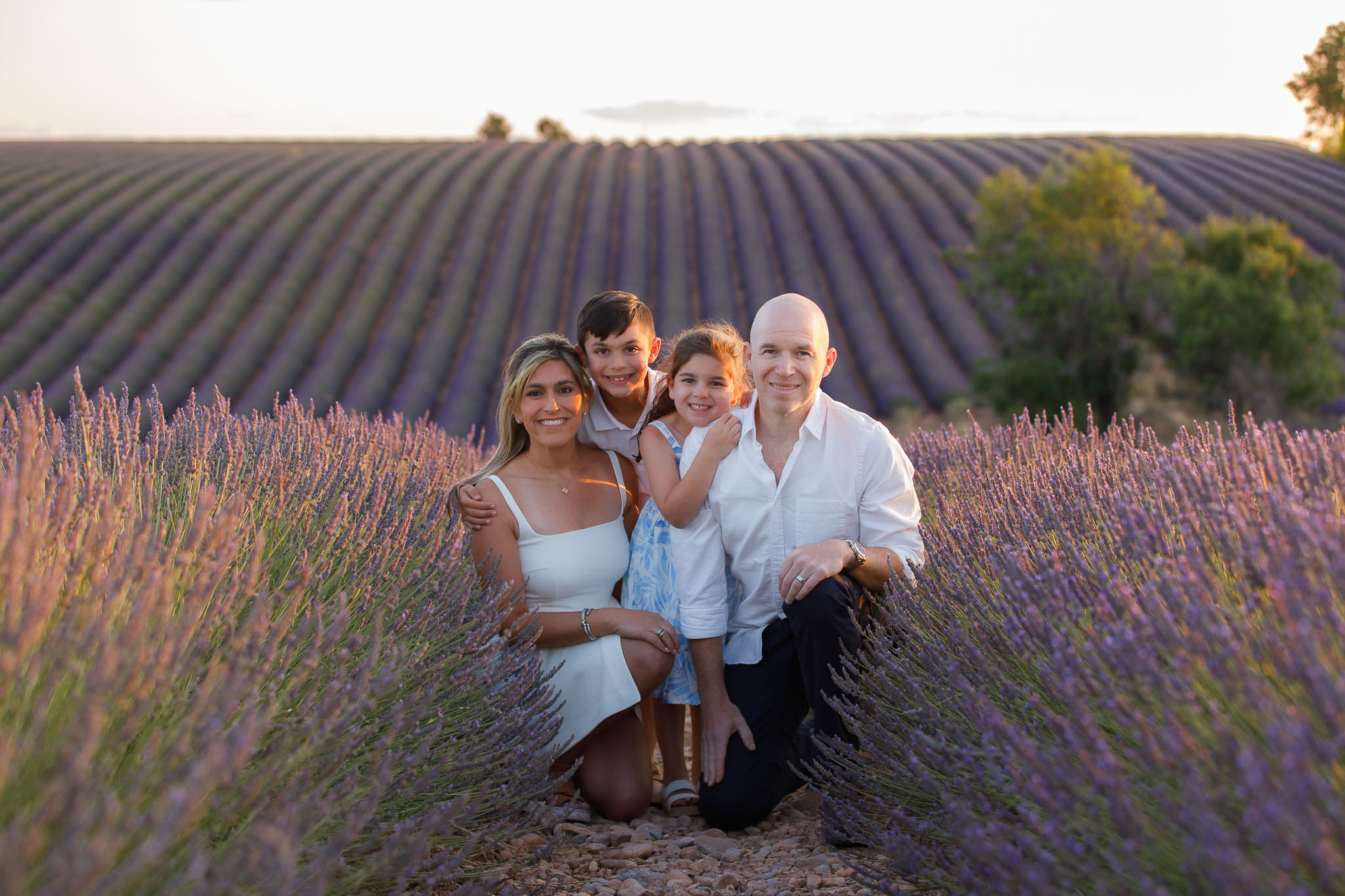 Happy family in the blooming purple lavender fields in Valensole, Provence during a golden hour sunset photoshoot